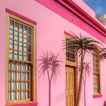 35198669172_a1ce00e459_k